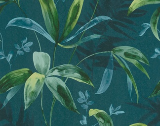 绿色植物壁纸