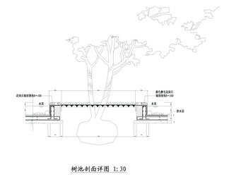 公园景观水中树池与浮萍详图