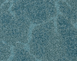 蓝色簇绒地毯