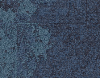 蓝色地毯