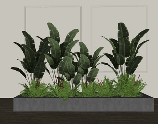 植物组合 绿植堆