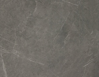 灰色纹理大理石大板瓷砖 (1)