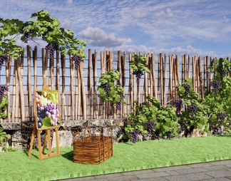爬藤植物 葡萄藤 葡萄花架 藤蔓植物 篱笆围栏 庭园葡萄树