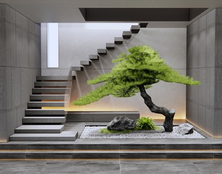 楼梯间 室内植物造景 庭院小品 松树 石头