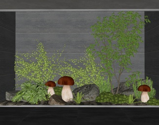 室内植物造景 植物堆 苔藓 爬山虎 石头 蘑菇