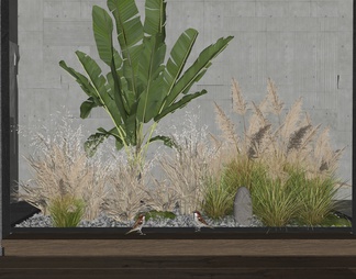 芦苇植物组合 植物堆 花境 花草 芭蕉 室内植物造景 庭院小品