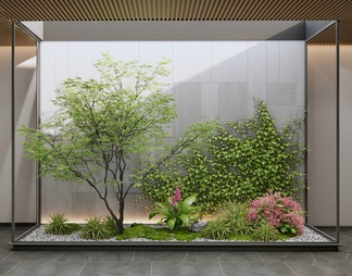 室内景观造景 庭院小品 植物堆 花境 植物组合 苔藓 灌木 藤爬植物