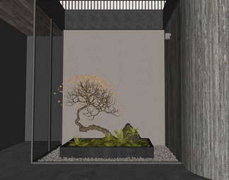 室内景观造景 庭院小品 盆景树 蕨类植物