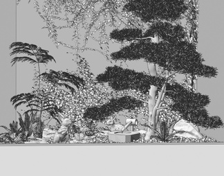 中庭庭院小品 室内植物造景 天井景观 爬山虎 蕨类植物堆 青苔 水钵 松树