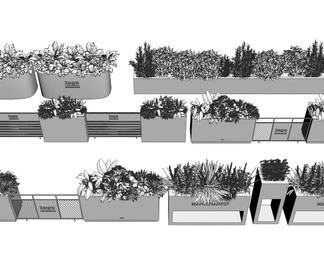 植物花箱 花草 植物组合 植物堆