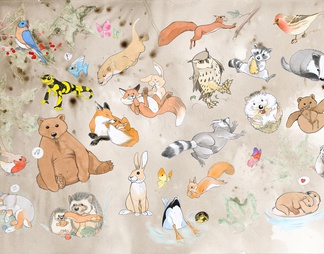 动物壁纸
