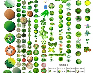 景观植物平面配景素材免抠PSD