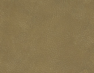黄棕色皮革皮料贴图 (5)