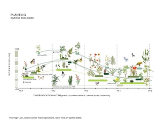 景观植物策略分析图免抠PSD
