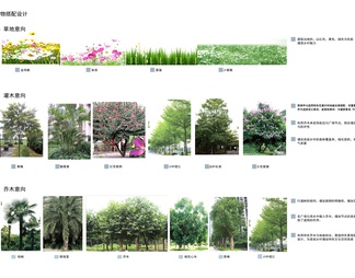 景观植物搭配分析图免抠PSD