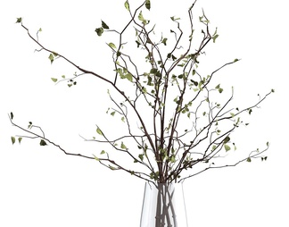 玻璃花瓶里的树枝