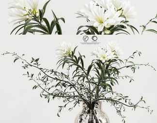植物花束花瓶