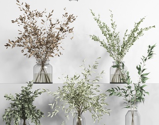 植物玻璃花瓶