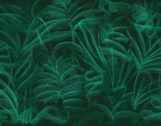 植物线条壁纸