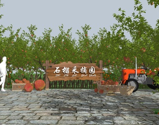 石榴种植园 亲子采摘园 水果示范 农庄 围栏 藤本植物 石榴树 石榴花