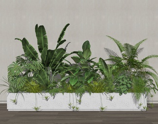 绿植花箱 植物组合 室内植物造景 花箱盆景