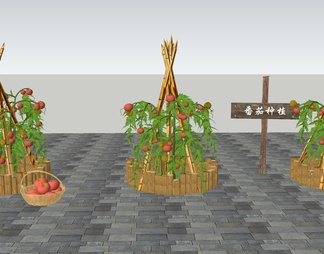 蔬菜种植箱 番茄 西红柿 社区菜园 一米菜园 菜箱 蔬菜架