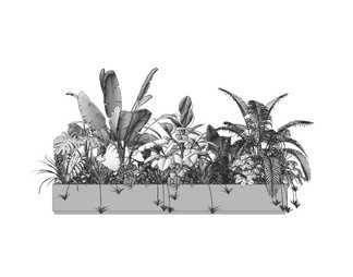 绿植花箱 植物组合 室内植物造景 花箱盆景