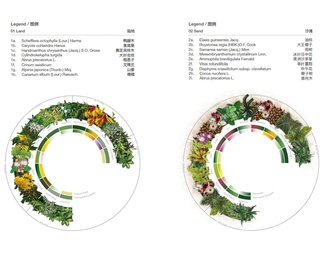 小清新竞赛分景观植物配置分析图免抠PSD