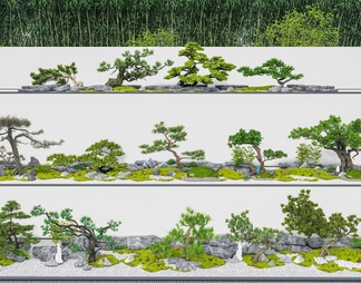 松树 景观树 迎客松 禅意小品 蕨类植物 植物堆