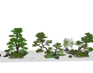 罗汉松造型树  景观绿植 小品 竹子假山石头组合
