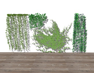 藤蔓植物墙 墙体绿植 爬藤景观植物组合