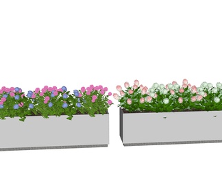 绿植景观花箱盆栽 绣球花  植物组合