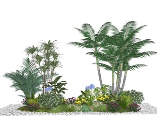 庭院景观植物组合 绿植植物堆 花境