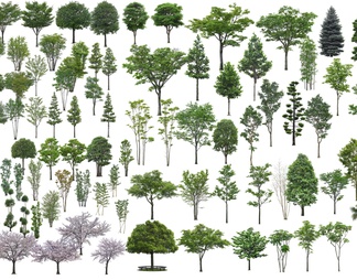 景观园林高清植物素材免抠PSD