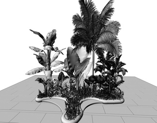 椰子树绿植组合