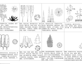 各种平立面树种图块图库