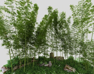 竹子景观造景