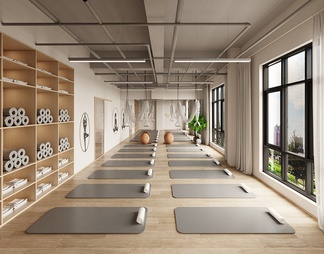瑜伽 健身房