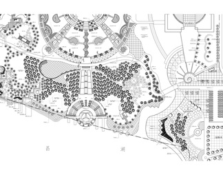 聊城城市公园种植景观图