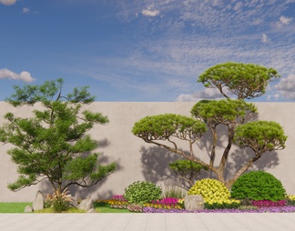 景观庭院造型树组合