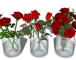 红玫瑰 鲜花花束 花瓶