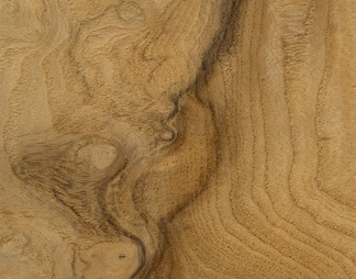 木纹 原木木纹 木地板 原木木板 船木