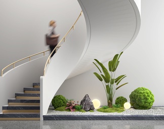 楼梯景观植物造景