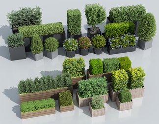 绿篱花箱