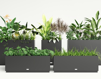 植物盆栽 绿植花箱 移动花箱 花池花坛 植物组合