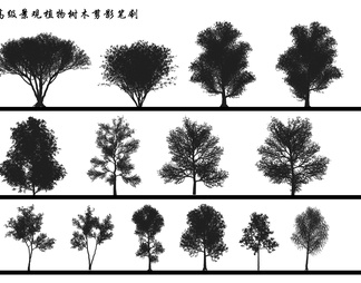 高级景观植物树木剪影笔刷