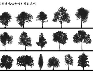 高级景观植物树木剪影笔刷