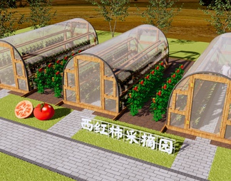 西红柿种植大棚