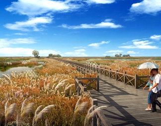 湿地公园木道景观效果图