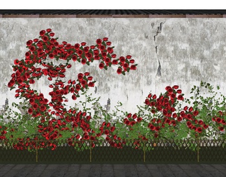 庭园玫瑰花墙